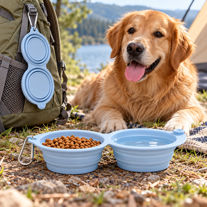 🐾 Portable Collapsible Double Pet Bowls | Foldable Travel Food & Water Bowls | Lightweight & Convenient