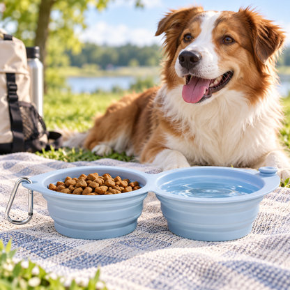 🐾 Portable Collapsible Double Pet Bowls | Foldable Travel Food & Water Bowls | Lightweight & Convenient