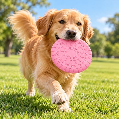 💗 Pink Dog Frisbee | Cute Paw Print &amp; Bone Design | Outdoor Interactive Dog Toy