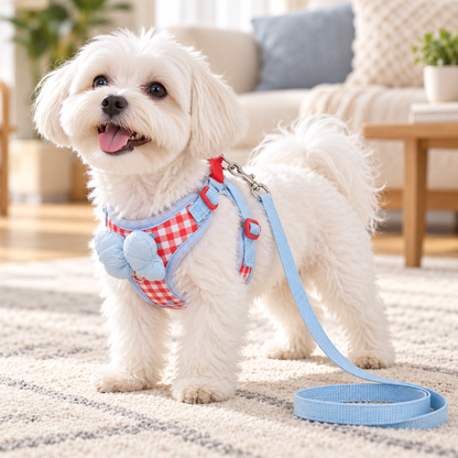 💖 Cute Dog Harness & Leash Set